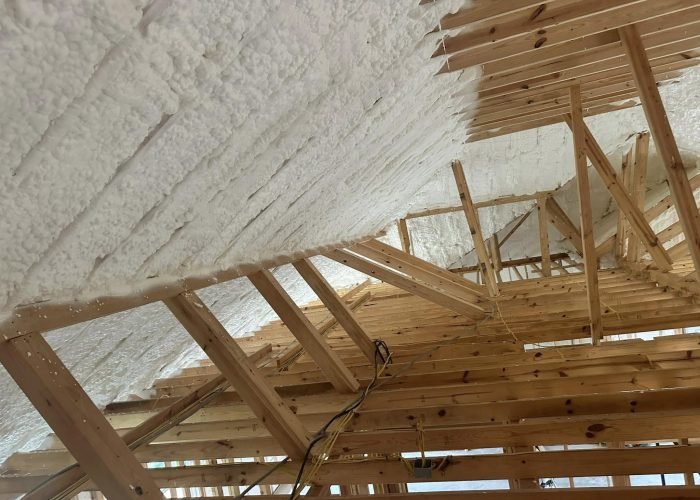 488885132_1169874591264720_2800170163100463029_n