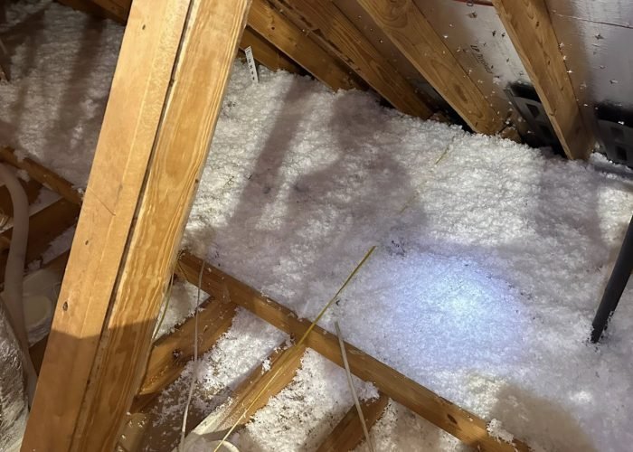 584388752_1346599706925540_1912639952129447320_n