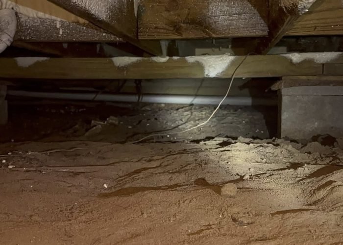 623841351_1399590004959843_3075927946122131205_n